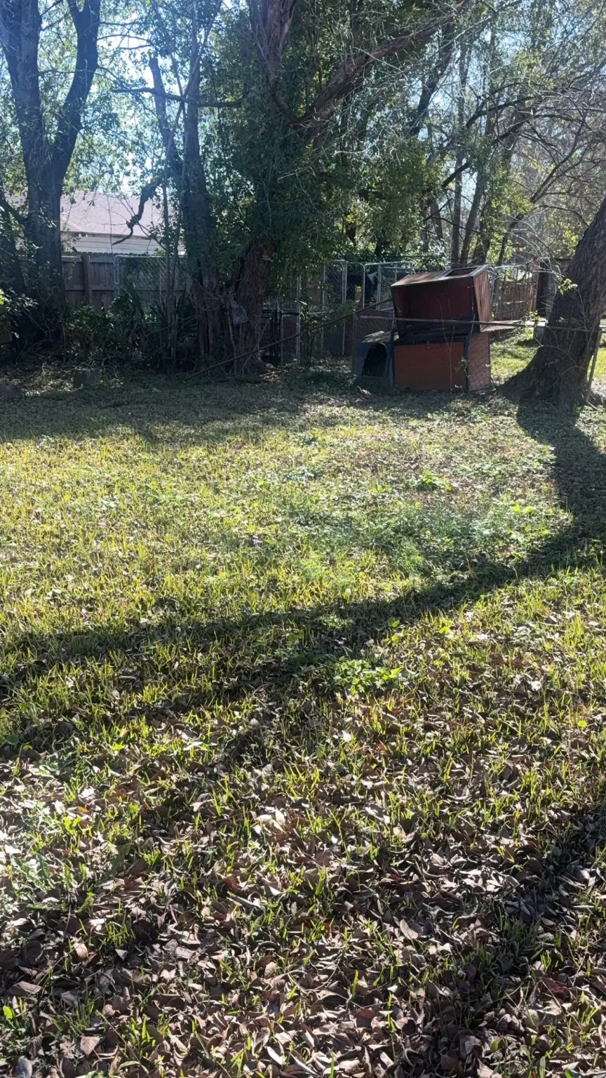 2335 Avenue B, Beaumont, TX 77701 - Image #3