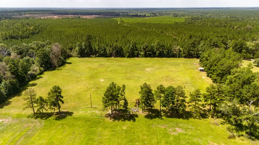 TBD Benny Griffin Road, Livingston, TX 77351 - #3