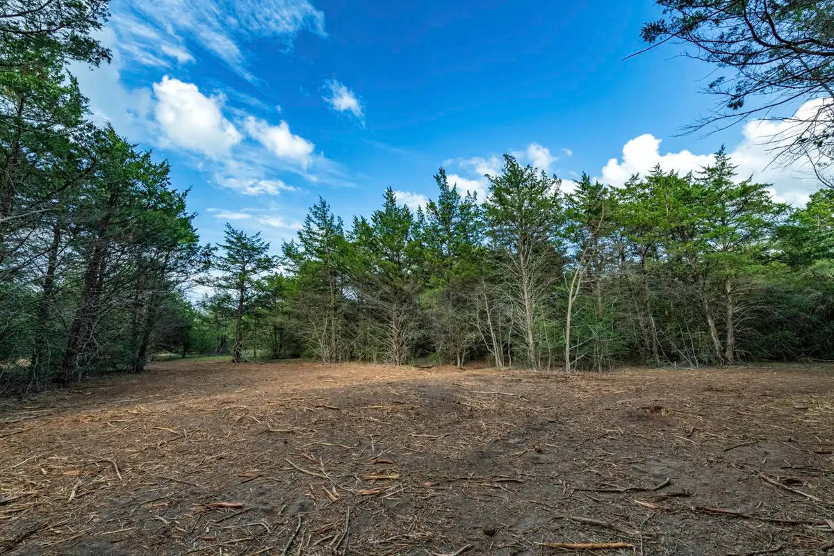 405 Vineyard View Trail - Lot 5, Carmine, TX 78932 - #1