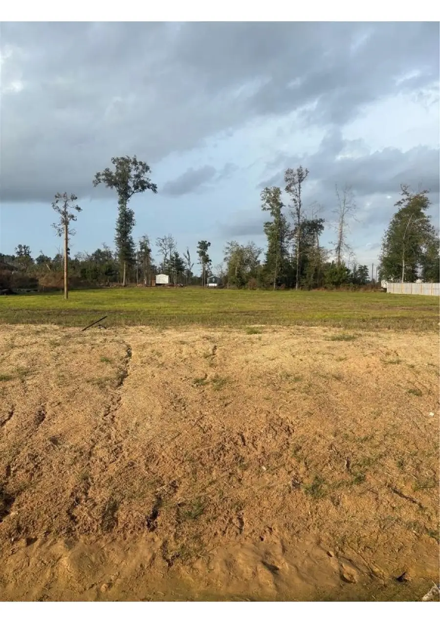 1045 Gazing Pine Street, Huffman, TX 77336 - #3