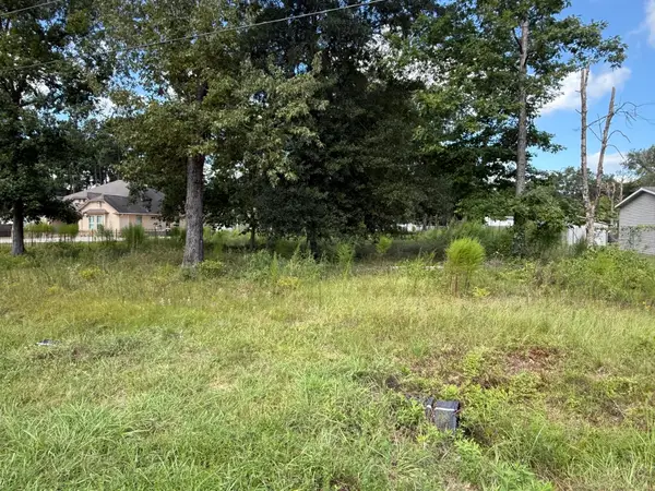 23923 Paper Wasp Lane, New Caney, TX 77357