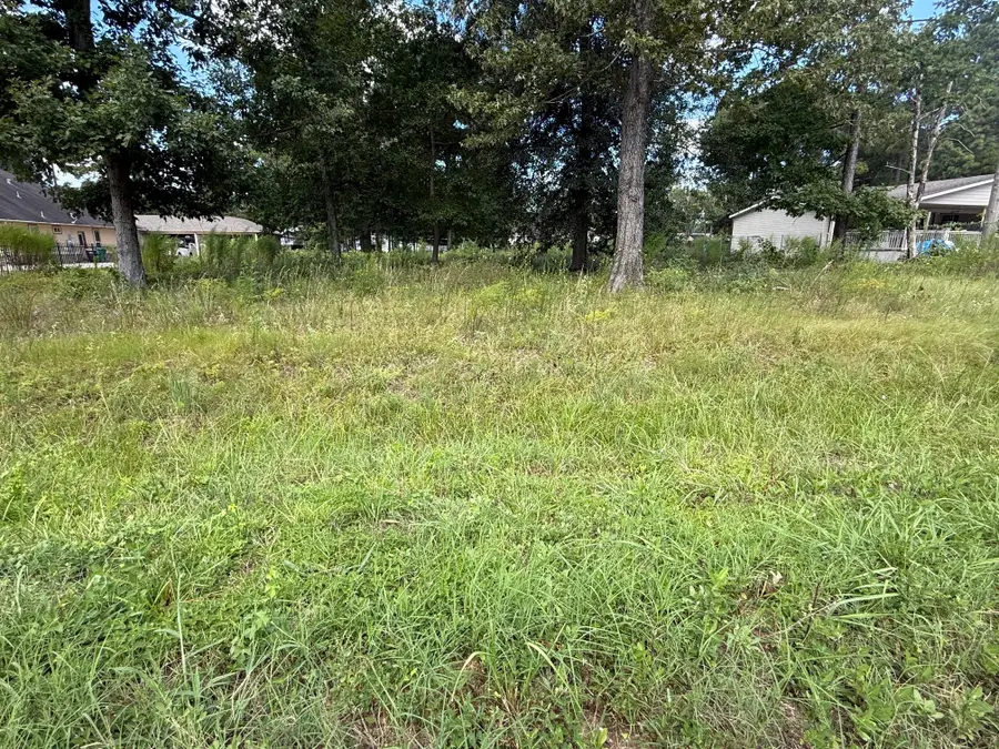 23923 Paper Wasp Lane, New Caney, TX 77357 - #2