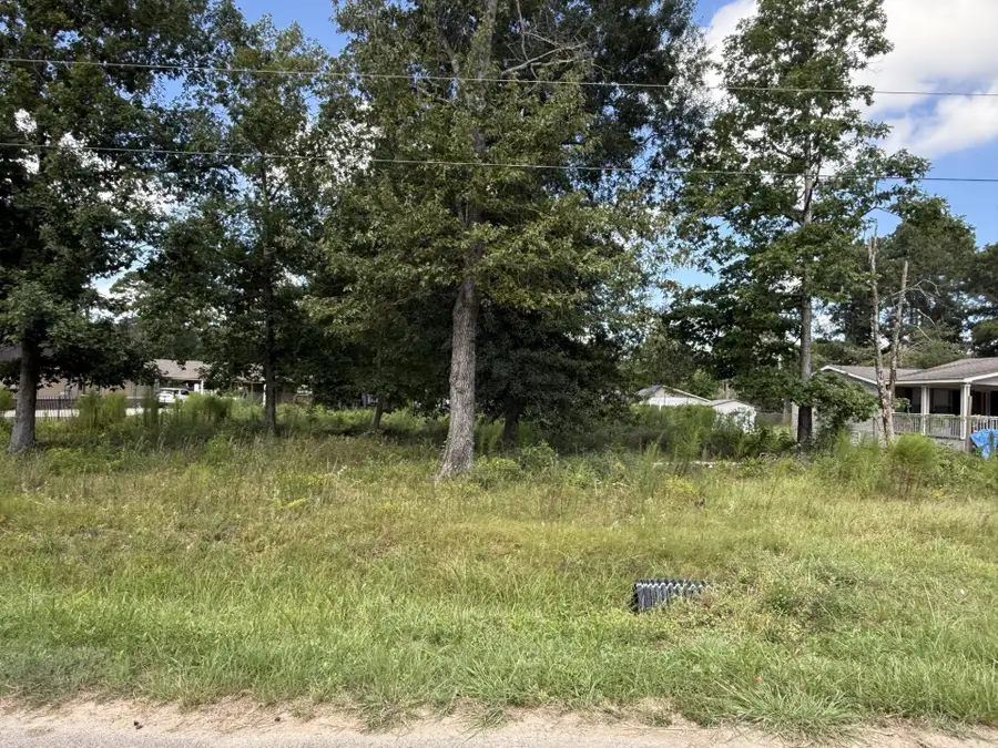 23923 Paper Wasp Lane, New Caney, TX 77357 - #3