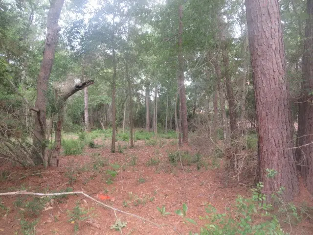 15245 Hillshire Pl, Plantersville, TX 77363 - #1