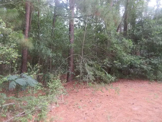 15245 Hillshire Pl, Plantersville, TX 77363 - #3