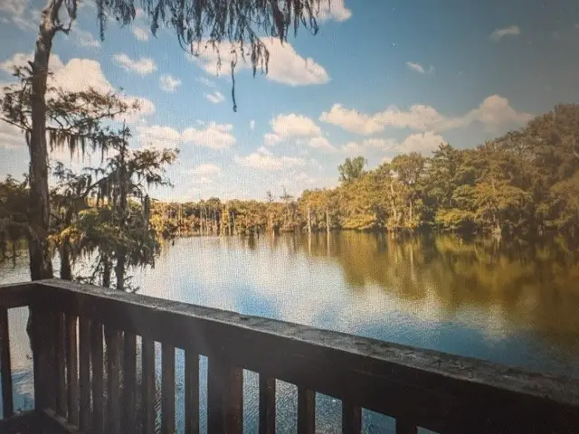 10 Cypress Lakes Circle, Cleveland, TX 77327 - #2