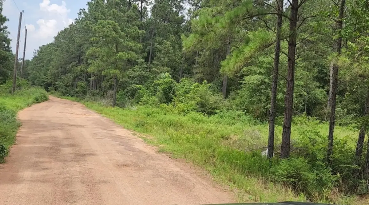 Lot 22 Scarlet Oak Drive, Plantersville, TX 77363 - Image #1