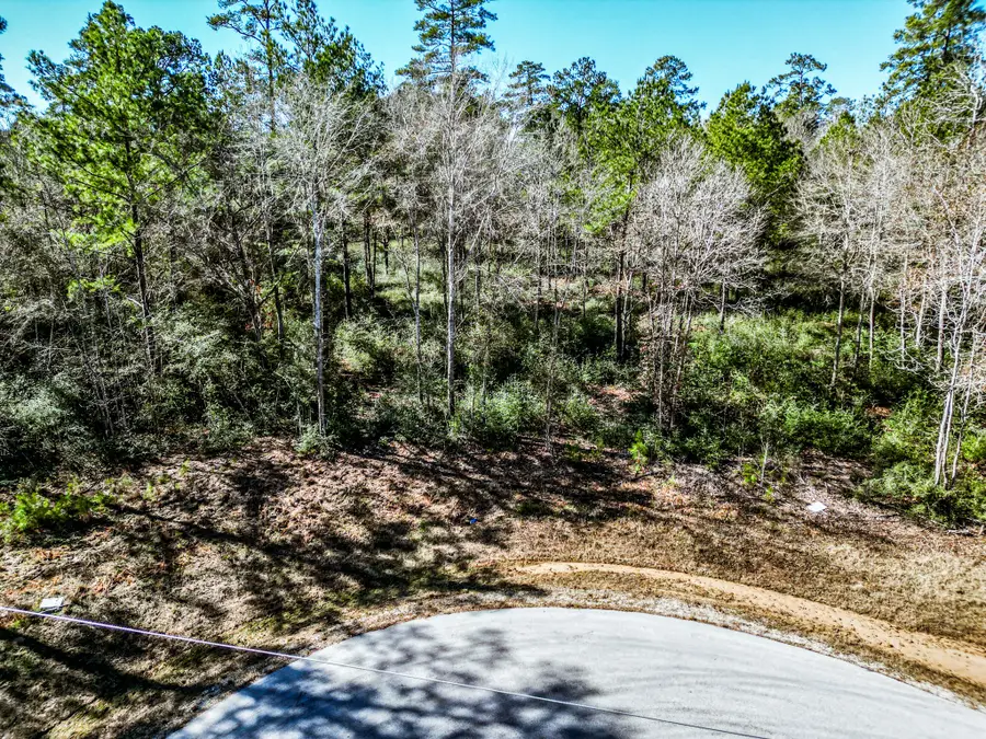 lot 42 Pyrite Court, Huntsville, TX 77340 - #2