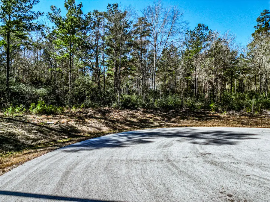 lot 42 Pyrite Court, Huntsville, TX 77340 - #3