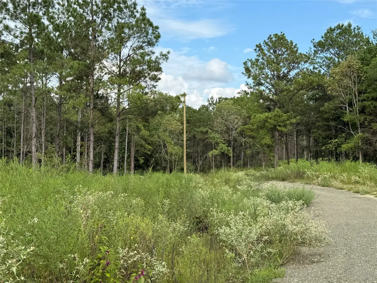 664 Piney Creek Estates Rd, Timpson, TX 75975 - #1
