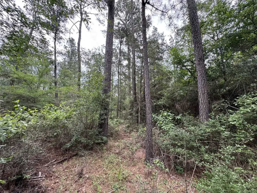 T4 Round Prairie Road, Huntsville, TX 77320 - #3