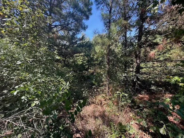 4915 Fm 227 E, Grapeland, TX 75844 - Image #3