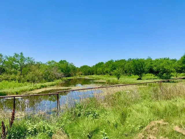 4703 Scenic Lake Drive, Schertz, TX 78154 - #1