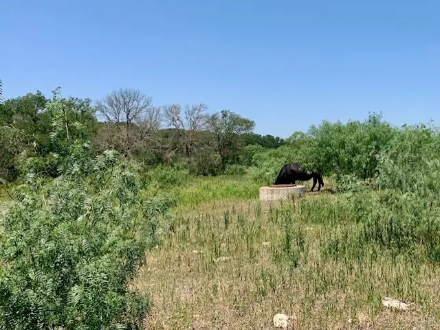 4703 Scenic Lake Drive, Schertz, TX 78154 - #3
