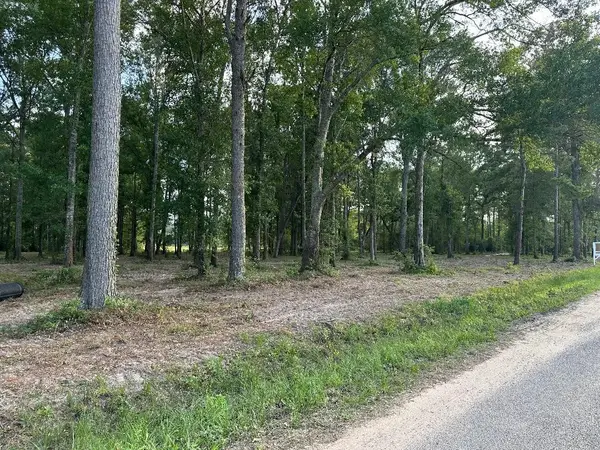 Tract 1-000 TBD Blackburn Dr, Splendora, TX 77372