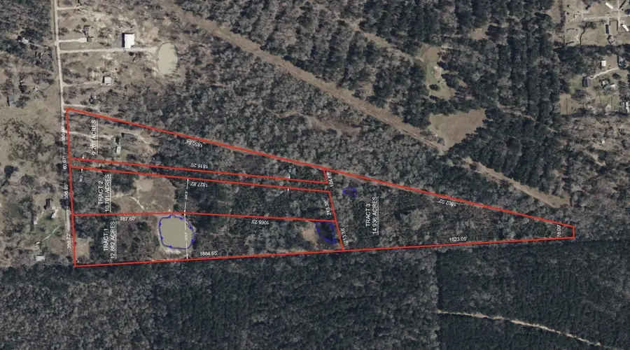 Tract 1-000 TBD Blackburn Dr, Splendora, TX 77372 - #3