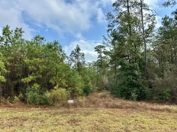 15886 Wood Grove Way, Willis, TX 77378