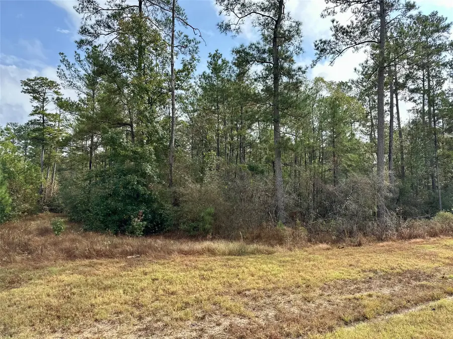 15886 Wood Grove Way, Willis, TX 77378 - #3
