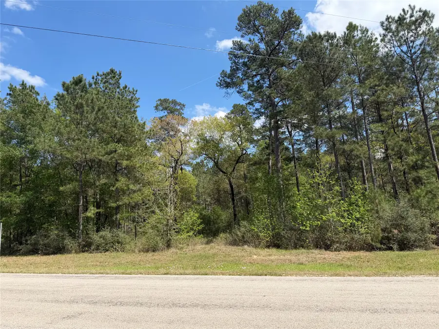 19-6-1 Dedication Trail, Huntsville, TX 77340 - #2