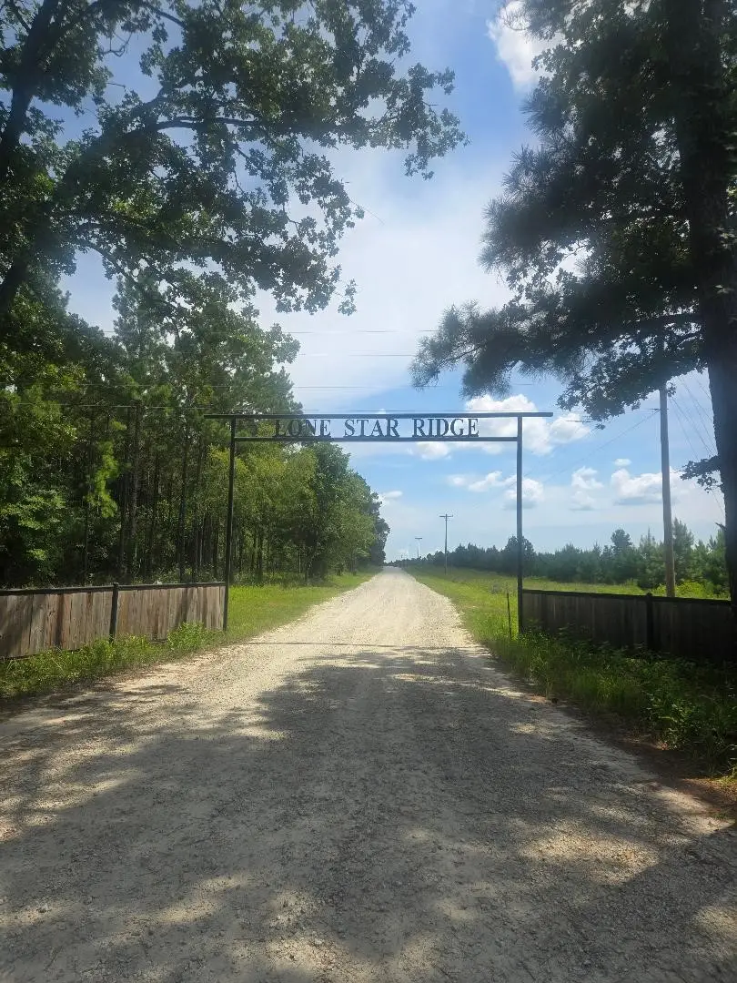 PHASE 2 Calhoun Ct, Lovelady, TX 75851 - #1