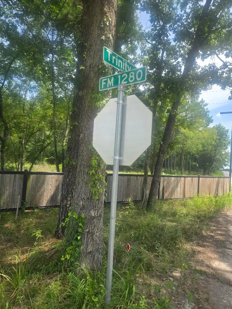 PHASE 2 Calhoun Ct, Lovelady, TX 75851 - #2
