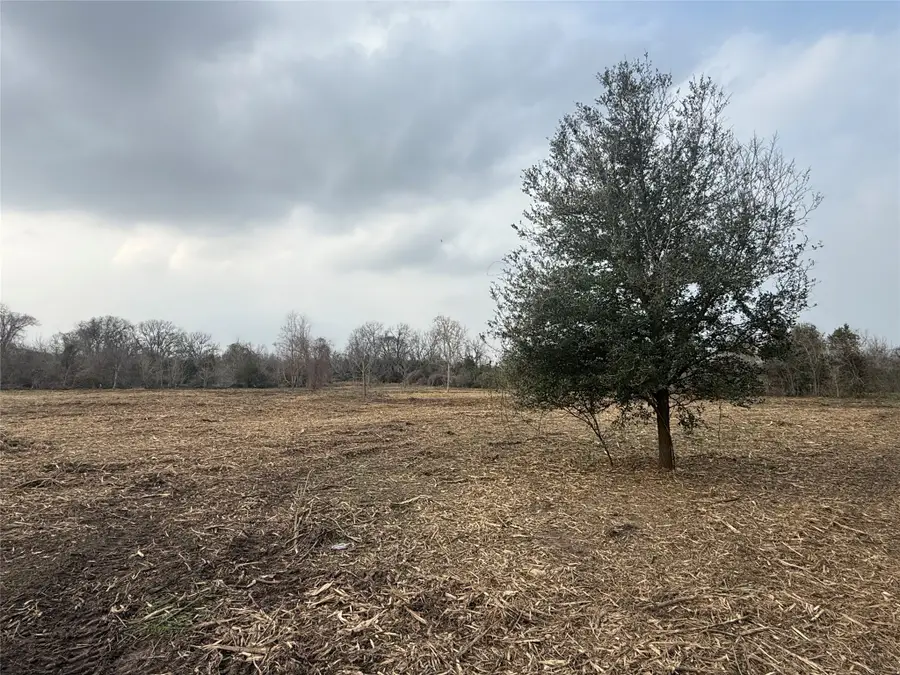 Lot 11 County Road 30, Angleton, TX 77515 - #2