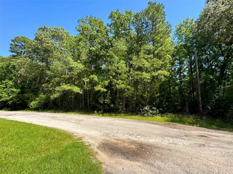 TBD Port Boulevard, Trinity, TX 75862 - #2