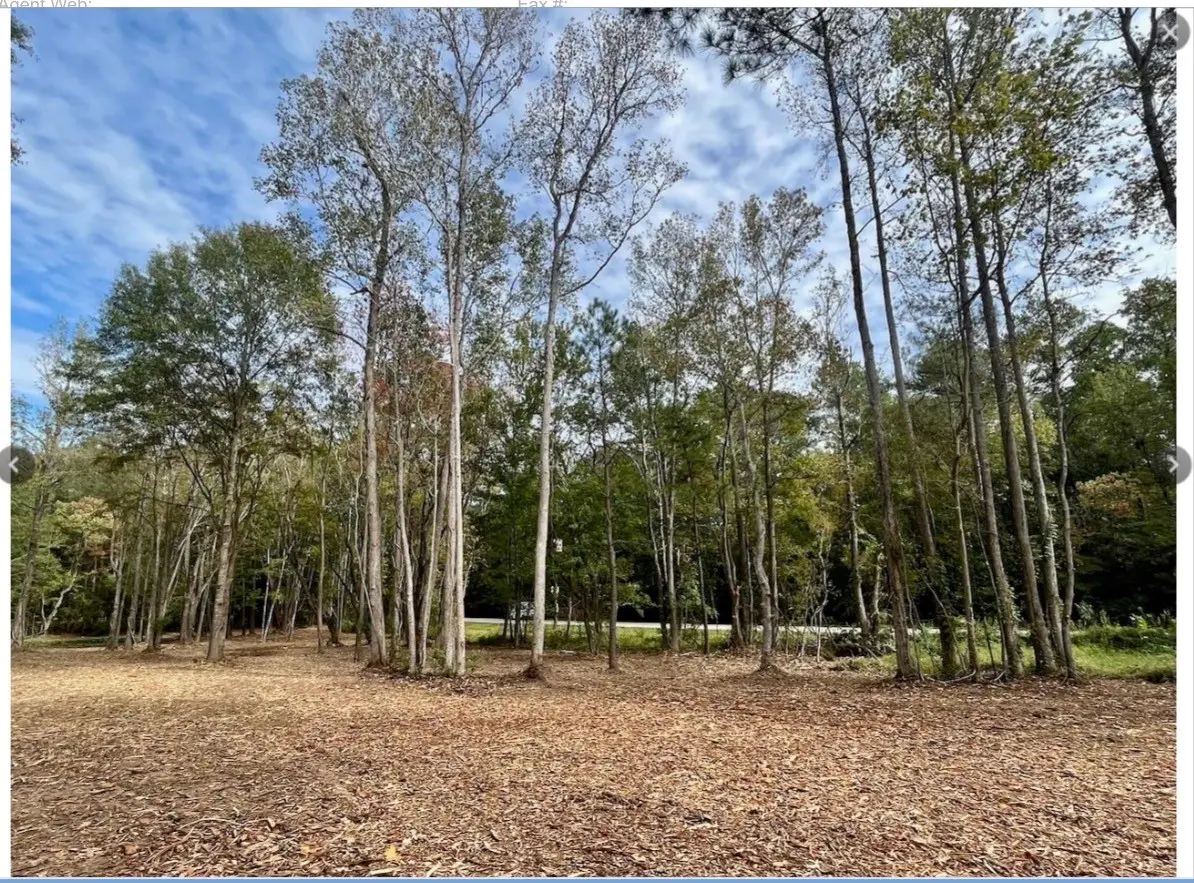 10690 Waukegan Road, Conroe, TX 77306 - #1