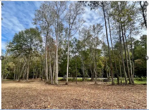 10690 Waukegan Road, Conroe, TX 77306