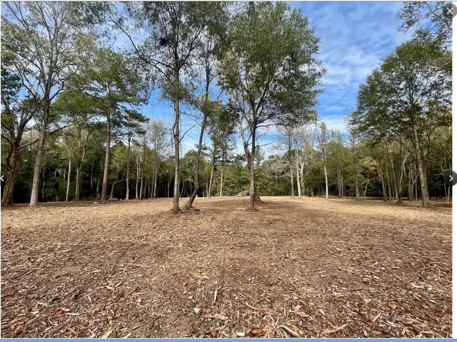 10690 Waukegan Road, Conroe, TX 77306 - #2