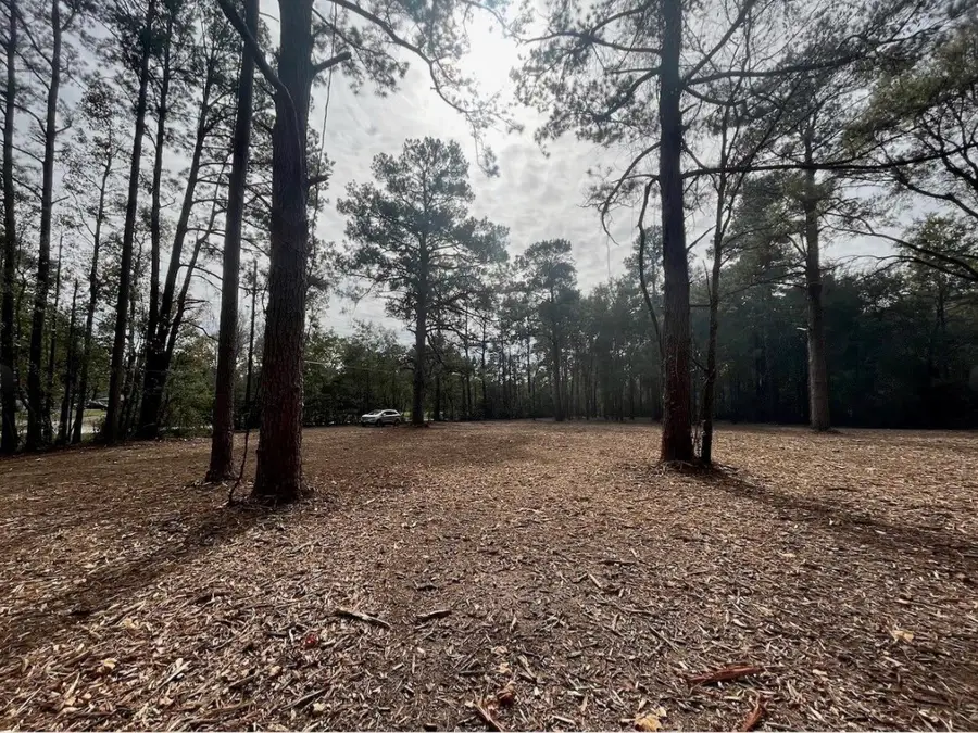 10690 Waukegan Road, Conroe, TX 77306 - #3