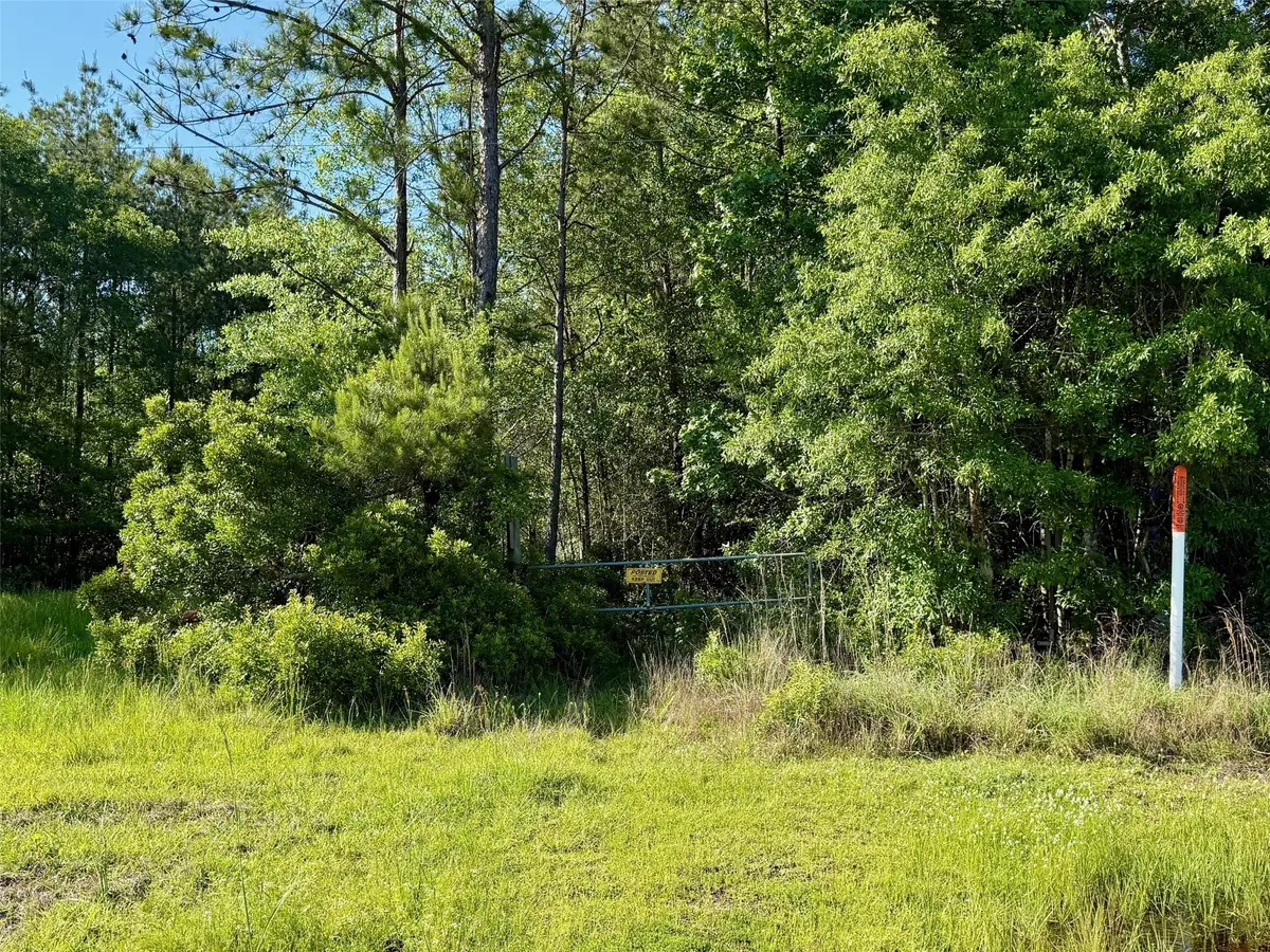 16086 Fm 943, Kountze, TX 77625 - Image #1