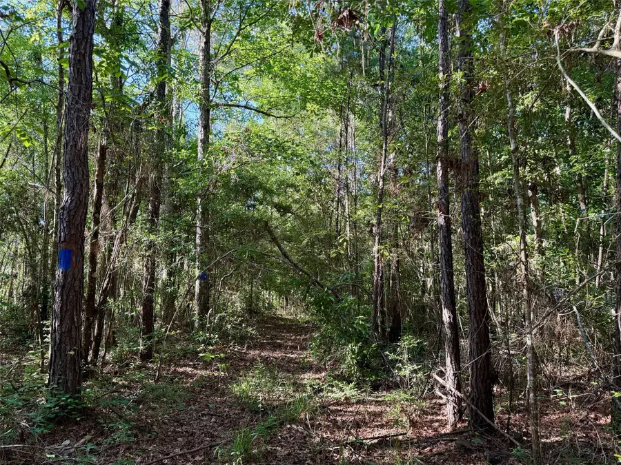 16086 Fm 943, Kountze, TX 77625 - Image #2