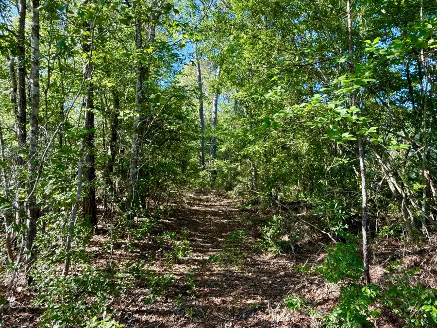 16086 Fm 943, Kountze, TX 77625 - Image #3