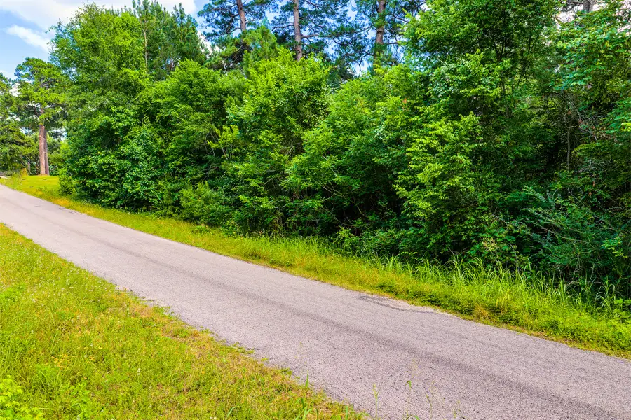 1.03 Acres Autumn Way, Huntsville, TX 77320 - #3
