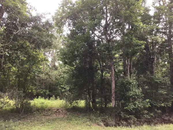 321 County Road 304 Highway, Cleveland, TX 77327