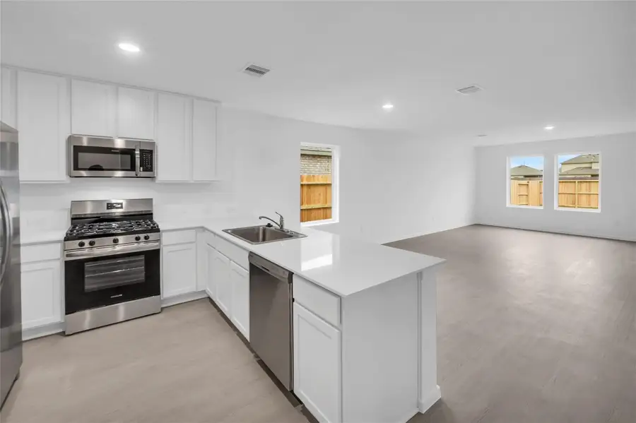 16211 Domestic Dove Way, Hockley, TX 77447 - Image #3