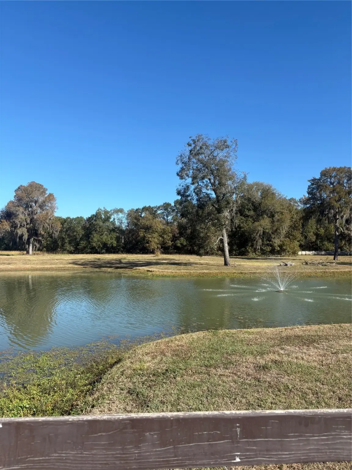 195 Center Street, Cleveland, TX 77327 - Image #1