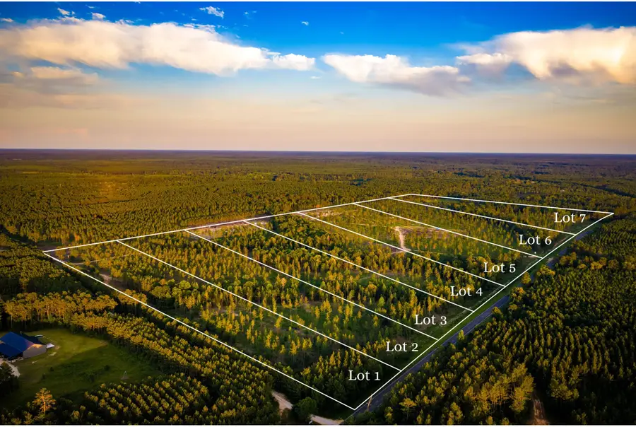 TBD lot 2 Fm 1276, Livingston, TX 77351 - #2