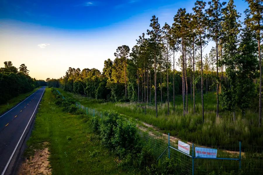 TBD lot 2 Fm 1276, Livingston, TX 77351 - #3