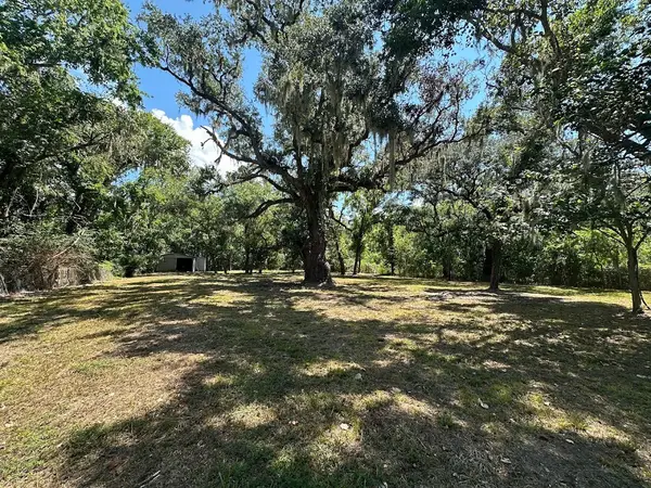 0 Austin Street, Brazoria, TX 77422