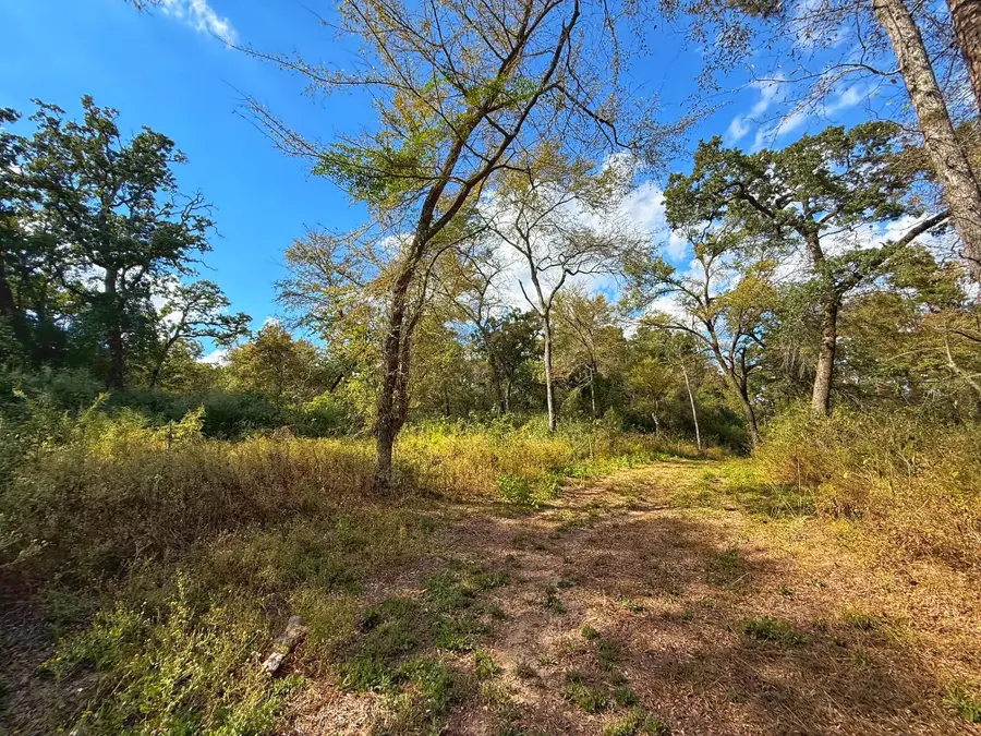 19.5 ac Fm 3178, Centerville, TX 75833 - Image #2