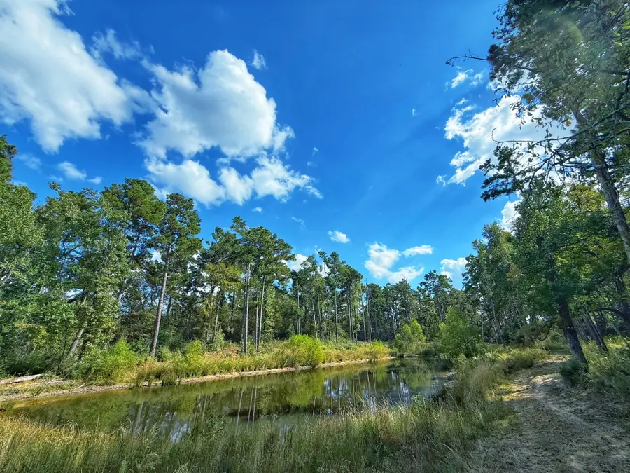 19.5 ac Fm 3178, Centerville, TX 75833 - Image #3