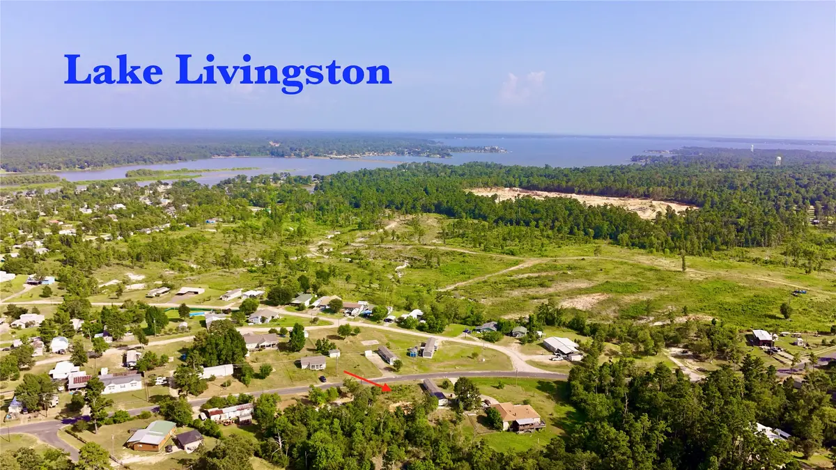 619 Yaupon Cove Drive, Onalaska, TX 77360 - #1