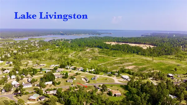 619 Yaupon Cove Drive, Onalaska, TX 77360