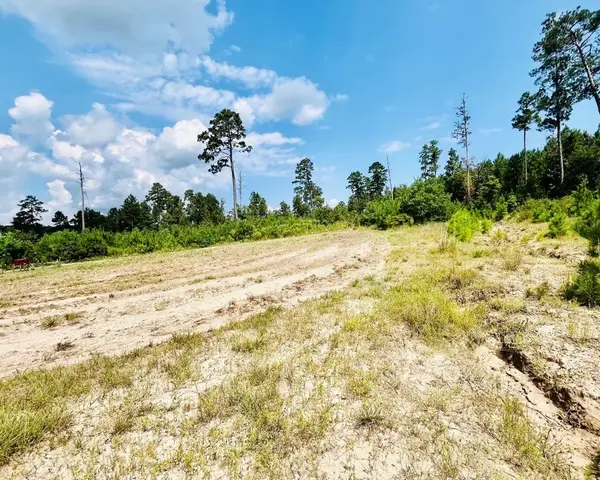 9 Nine Bridges Road, Corrigan, TX 75939