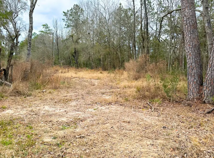 12280 Pelt, Kountze, TX 77625 - #2