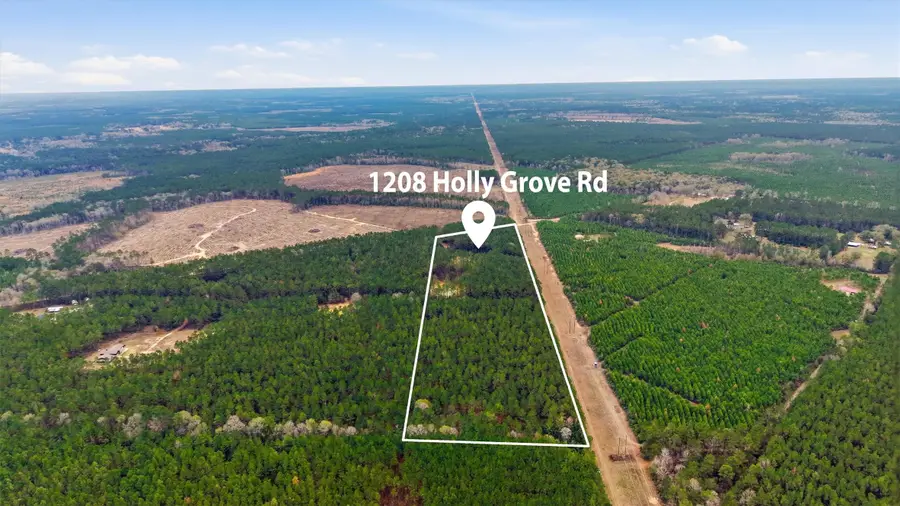 1208 Holly Grove Road, Livingston, TX 77351 - #2