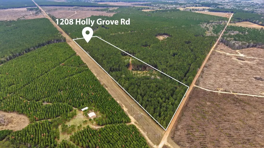 1208 Holly Grove Road, Livingston, TX 77351 - #3