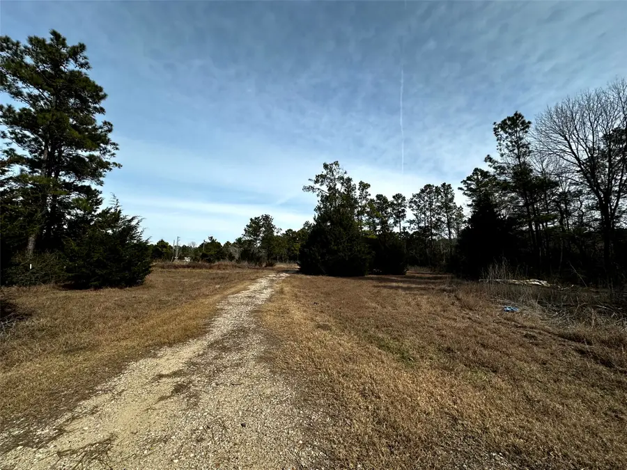 290 Over The Hill Road, Point Blank, TX 77364 - #2